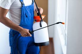 Best Real Estate Pest Inspections  in Diberville, MS